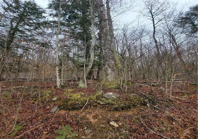 2nd image of 0 Schlafer Rd, Guilford, NY 13780 | MLS# R1669058