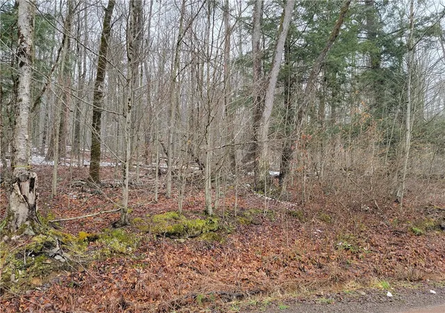 3rd image of 0 Schlafer Rd, Guilford, NY 13780 | MLS# R1669058
