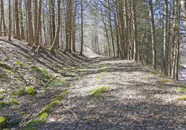 Photo 1 of Sale Pending at 5565 Beech Hl Rd, Andes, NY 13731 | MLS# R1669351 | Listing updated on 2026-07-29