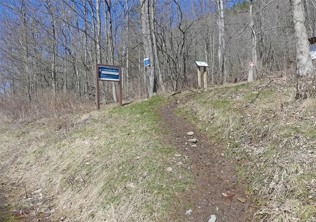 Photo 21 of Sale Pending at 5565 Beech Hl Rd, Andes, NY 13731 | MLS# R1669351 | Listing updated on 2026-07-29