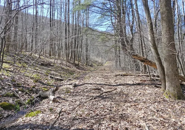 Photo 2 of Sale Pending at 5565 Beech Hl Rd, Andes, NY 13731 | MLS# R1669351 | Listing updated on 2026-07-29