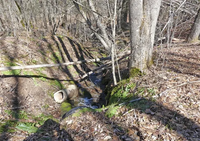Photo 3 of Sale Pending at 5565 Beech Hl Rd, Andes, NY 13731 | MLS# R1669351 | Listing updated on 2026-07-29