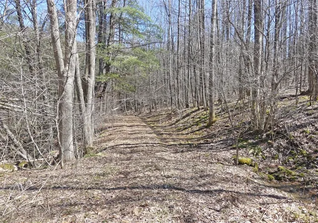 Photo 4 of Sale Pending at 5565 Beech Hl Rd, Andes, NY 13731 | MLS# R1669351 | Listing updated on 2026-07-29
