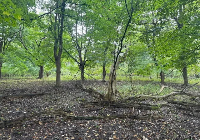 5th image of Vl Angle Rd, Orchard Park, NY 14127 | MLS# B1669595