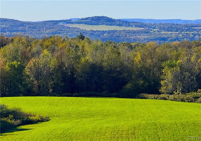 Homes for sale in Frankfort, NY | Graffenburg Rd, Frankfort, NY 13340 | MLS# S1669643