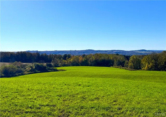 Homes for sale in Frankfort, NY | Graffenburg Rd, Frankfort, NY 13340 | MLS# S1669643