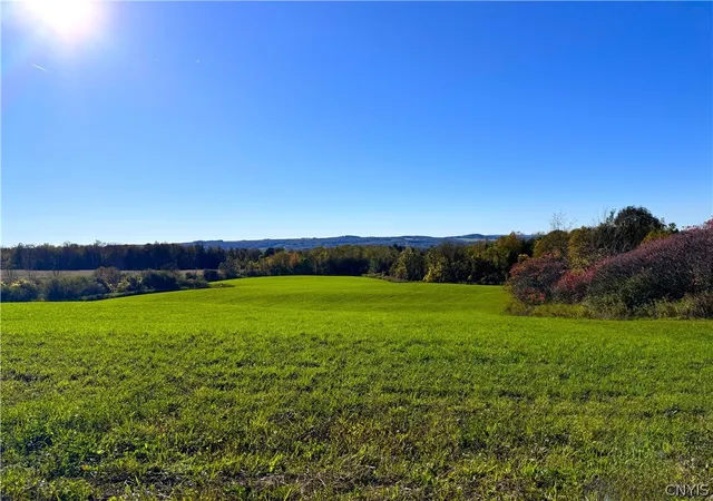 Homes for sale in Frankfort, NY | Graffenburg Rd, Frankfort, NY 13340 | MLS# S1669643