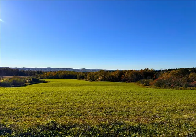 Homes for sale in Frankfort, NY | Graffenburg Rd, Frankfort, NY 13340 | MLS# S1669643