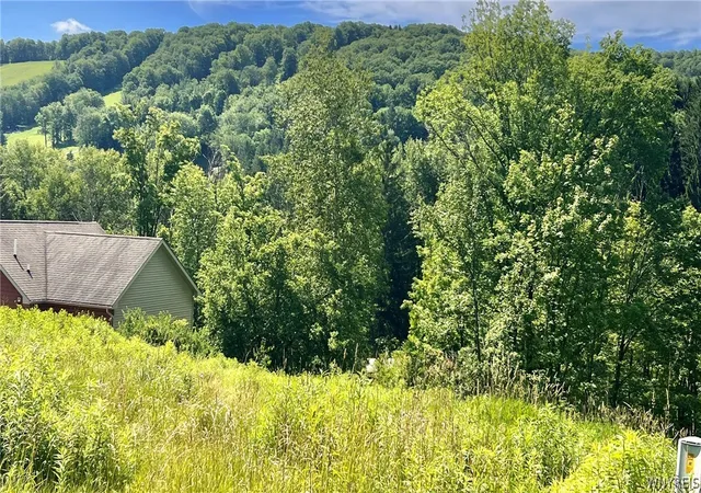 Homes for sale in Ellicottville, NY | 6843 Springs Rd, Ellicottville, NY 14731 | MLS# B1670143