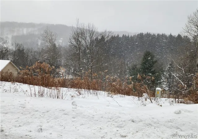 Homes for sale in Ellicottville, NY | 6843 Springs Rd, Ellicottville, NY 14731 | MLS# B1670143