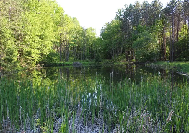3rd image of 714 Pleasant Valley Rd, Sherburne, NY 13460 | MLS# R1670063