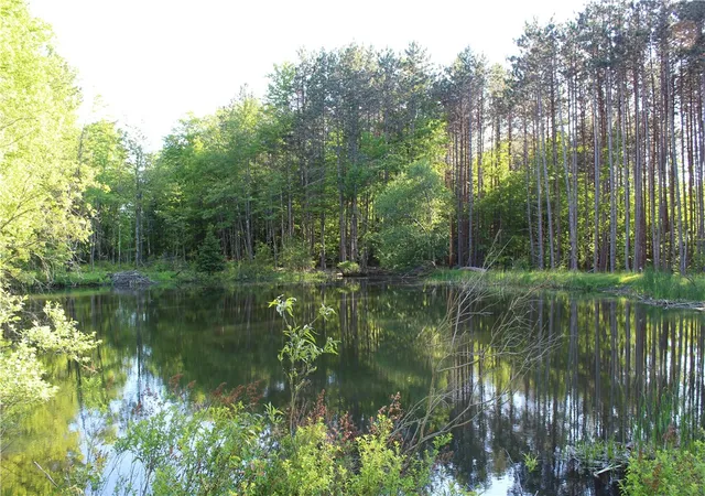 4th image of 714 Pleasant Valley Rd, Sherburne, NY 13460 | MLS# R1670063
