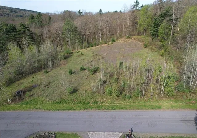 1st image of 119 Hickory Hill Rd, Otego, NY 13825 | MLS# R1670265
