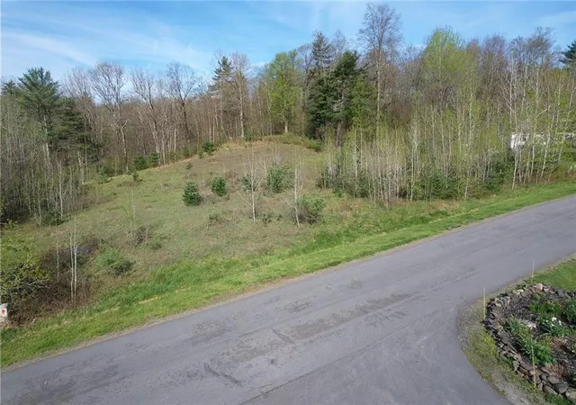 2nd image of 119 Hickory Hill Rd, Otego, NY 13825 | MLS# R1670265