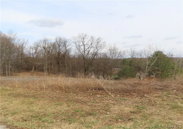 Homes for sale in De Witt, NY | 5062 Bergenfield Wy, De Witt, NY 13066 | MLS# S1669007