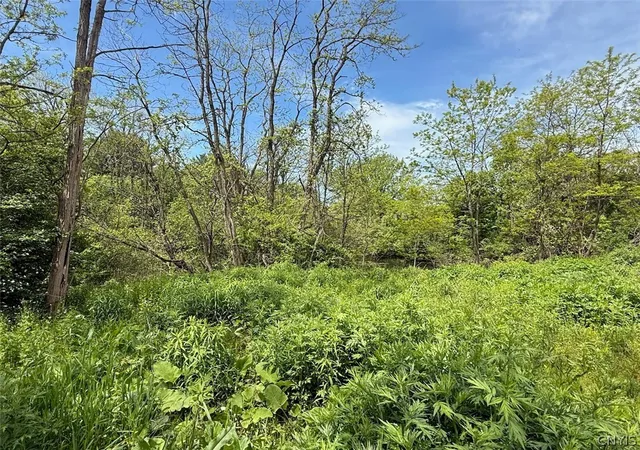 Homes for sale in Sandy Creek, NY | 1559 County Route 48, Sandy Creek, NY 13083 | MLS# S1670028