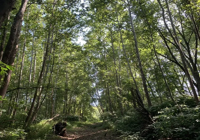 4th image of State Hwy 23, Oneonta, NY 13820 | MLS# R1670367
