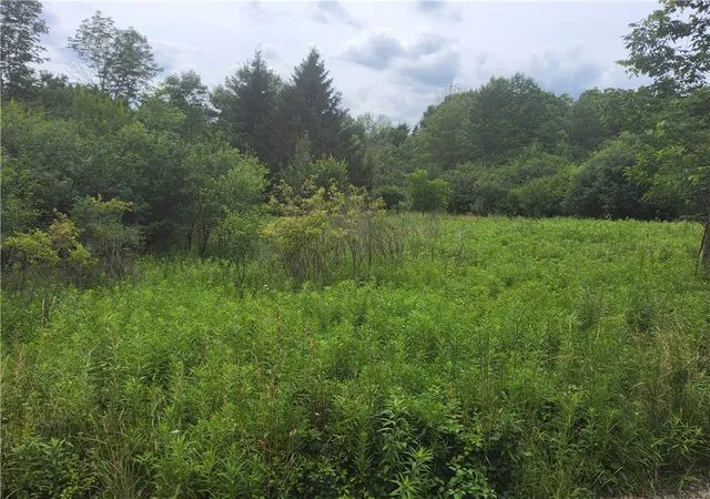 Homes for sale in Wellsville, NY | 108 Scott Ave, Wellsville, NY 14895 | MLS# R1670453