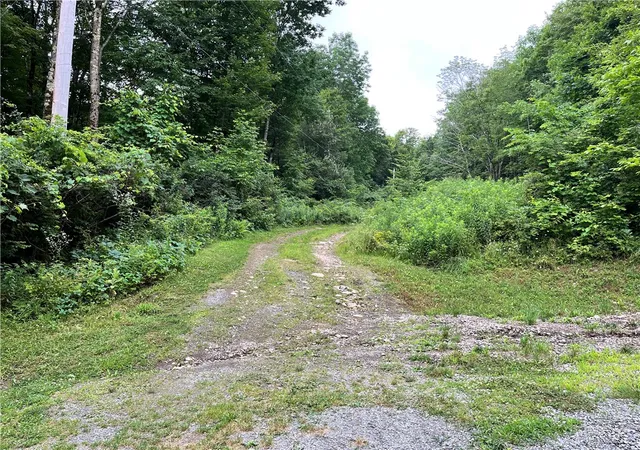 Homes for sale in Walton, NY | 0 Marvin Hollow Rd, Walton, NY 13856 | MLS# R1670477