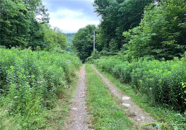 Homes for sale in Walton, NY | 0 Marvin Hollow Rd, Walton, NY 13856 | MLS# R1670477