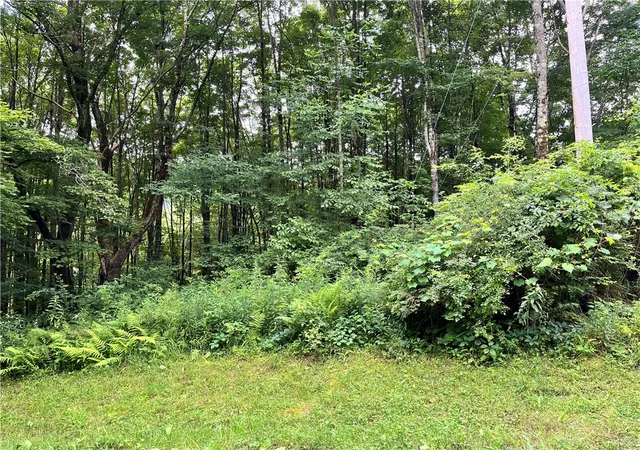 Homes for sale in Walton, NY | 0 Marvin Hollow Rd, Walton, NY 13856 | MLS# R1670477