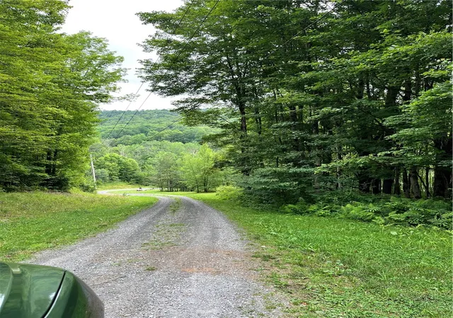 Homes for sale in Walton, NY | 0 Marvin Hollow Rd, Walton, NY 13856 | MLS# R1670477
