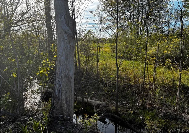 2nd image of Ridge Rd, Lewiston, NY 14092 | MLS# B1667776