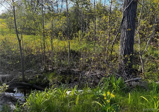 3rd image of Ridge Rd, Lewiston, NY 14092 | MLS# B1667776
