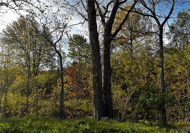 4th image of Ridge Rd, Lewiston, NY 14092 | MLS# B1667776