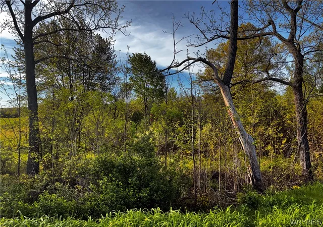 5th image of Ridge Rd, Lewiston, NY 14092 | MLS# B1667776