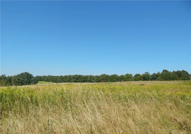 3rd image of 0 Sam Holdridge Rd, Burlington, NY 13482 | MLS# R1670636