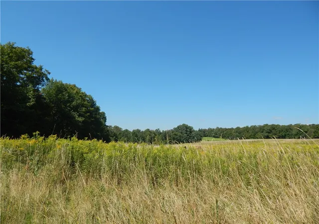 4th image of 0 Sam Holdridge Rd, Burlington, NY 13482 | MLS# R1670636