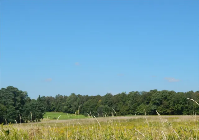 5th image of 0 Sam Holdridge Rd, Burlington, NY 13482 | MLS# R1670636