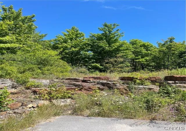 Homes for sale in Theresa, NY | Mill St, Theresa, NY 13691 | MLS# S1670736