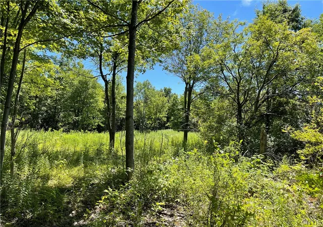 Homes for sale in Theresa, NY | Mill St, Theresa, NY 13691 | MLS# S1670736