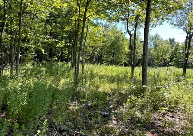 Homes for sale in Theresa, NY | Mill St, Theresa, NY 13691 | MLS# S1670736