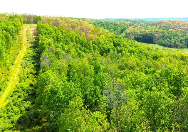 Homes for sale in Great Valley, NY | 6000 Haines Hollow Rd, Great Valley, NY 14741 | MLS# B1670659