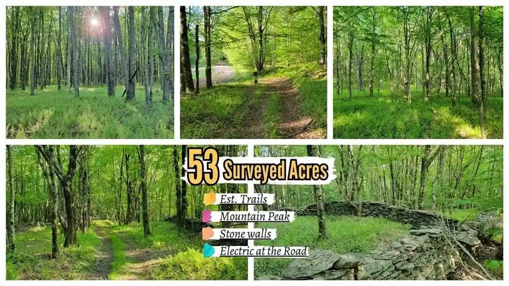 Photo 1 of Land for sale at Jim Ln Rd, Bovina Center, NY 13740 | MLS# R1670105 | Listing updated on 2026-09-15