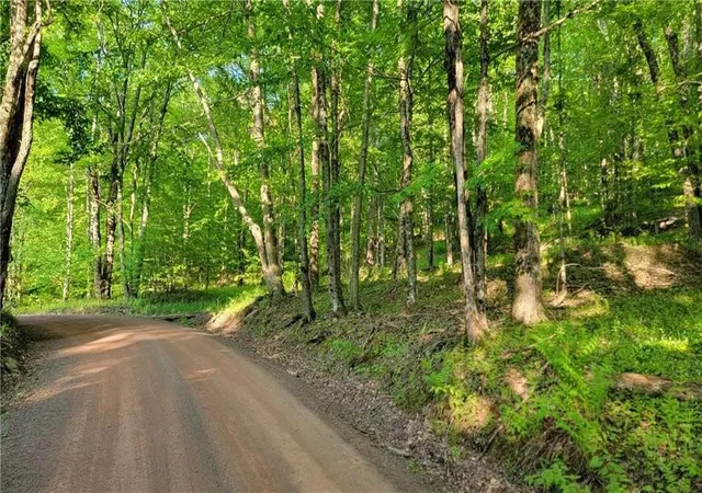 Homes for sale in Bovina, NY | Jim Lane Road, Bovina, NY 13740 | MLS# R1670105