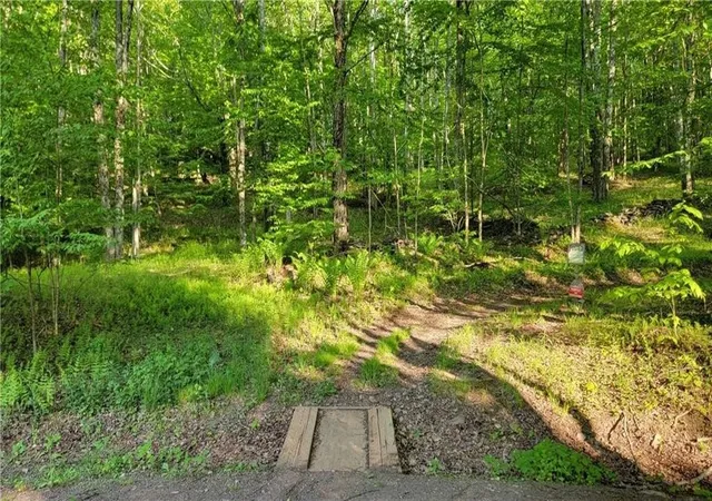 Homes for sale in Bovina, NY | Jim Lane Road, Bovina, NY 13740 | MLS# R1670105