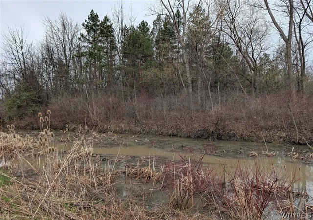 Photo 3 of Land for sale at Niag Fls Blvd S, Niagara Falls, NY 14304 | MLS# B1669779 | Listing updated on 2026-04-03