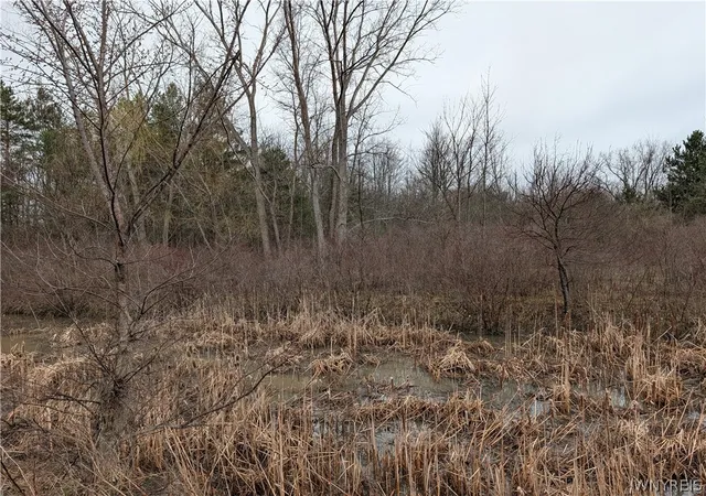 4th image of Niag Falls Blvd S, Niagara Falls, NY 14304 | MLS# B1669779