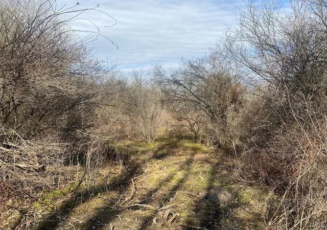 Photo 21 of Land for sale at 4005 Cr 2, Almond, NY 14804 | MLS# S1671047 | Listing updated on 2026-07-17