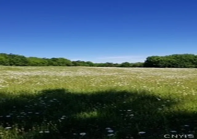2nd image of Talbot Rd, Plainfield, NY 13491 | MLS# S1670628
