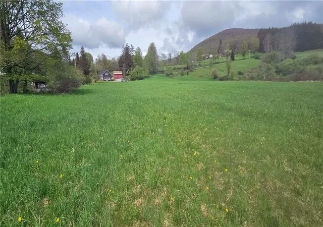 Photo 4 of Sale Pending at 1375 Dimmick Mountain Rd, Denver, NY 12421 | MLS# R1671156 | Listing updated on 2026-07-29