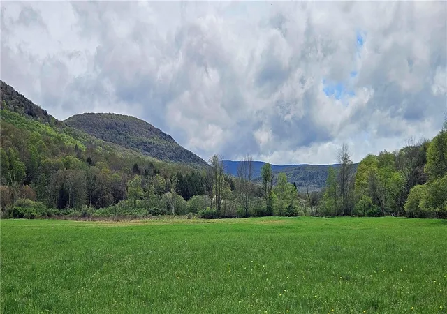 Photo 5 of Sale Pending at 1375 Dimmick Mountain Rd, Denver, NY 12421 | MLS# R1671156 | Listing updated on 2026-07-29