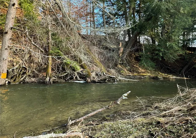 4th image of County Hwy 16, Burlington, NY 13315 | MLS# R1671189