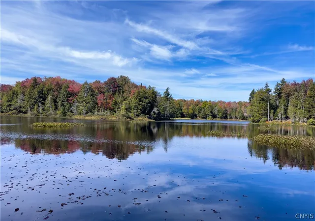 Photo 2 of Land for sale at 00 South Rd, Forestport, NY 13338 | MLS# S1671469 | Listing updated on 2026-07-21