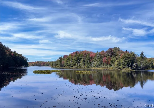 Photo 3 of Land for sale at 00 South Rd, Forestport, NY 13338 | MLS# S1671469 | Listing updated on 2026-07-21