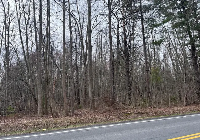 Photo 2 of Land for sale at 0 Packwood Rd, Waterloo, NY 13165 | MLS# R1671779 | Listing updated on 2026-04-08